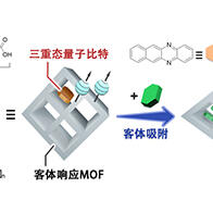 九州大學和東京大學等發現分子性量子位元的量子疊加態對化學物質產生響應，向實施化學量子感測邁出一大步