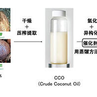 日本綠色電力開發：將不可食用椰子的椰子油製成航空燃料