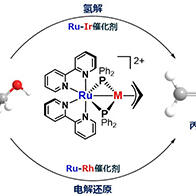 大阪公立大學開發出新型催化技術，利用廢油高效合成塑膠原料