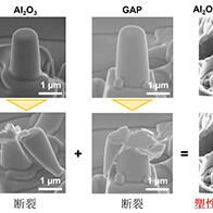 東京大學發現將易碎陶瓷組合後的無破損可變形現象，爲開發強韌陶瓷材料提供新方向