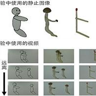 東京大學發現：真姬菇在影片中顯得更富有感情