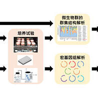 JAMSTEC著手開發微生物腐蝕診斷技術，為每年6.6萬億日元損失做出對策