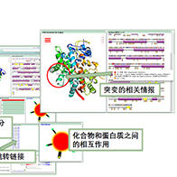 大阪大學和東北大學公開連接日本人基因突變資訊和蛋白質三維結構資訊的新入口網站