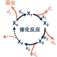 理研構建出預測電極觸媒壽命的數理模型，可用於開發高耐久替代材料