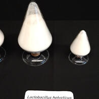 江崎格力高：自主研發的乳酸菌株可抑制感冒自覺症狀