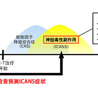 九州大學開發出預測癌症免疫療法副作用的技術，有助於精準治療