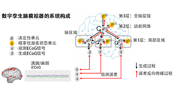開發靈長類大腦功能的數字孿生，助力闡明精神與神經疾病的病理並實現個性化治療