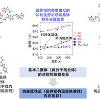 早稻田大學等揭示溫度變化導致的沙利度胺晶體結構變化，為手性藥物結晶化與品質保障開闢道路