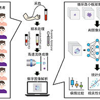 東京大學視覺化抗血小板藥物的體內效果，藉助AI進行即時評估