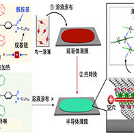 京都大學開發出氫鍵性有機薄膜電晶體，向超分子器件研究邁出第一步