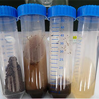 新潟大學等開發出便於檢測土壤微生物量的方法，可用於預測全球變暖