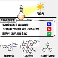 東京大學成功在可見光照射與常溫常壓下合成「綠色氨」