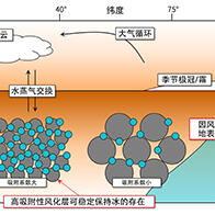日本東北大學揭示火星表層風化層粒子能夠穩定吸附水分，或對長期保持水分做過貢獻