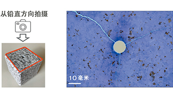 日本東北大學利用功能性流體使岩石裂隙向多方向延伸，新型壓碎法有望降低地下資源開發成本