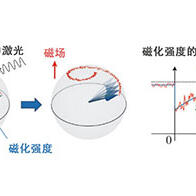 東京大學通過光技術直接觀測磁體的離散值，為開發由電子存儲資訊的量子器件開闢道路