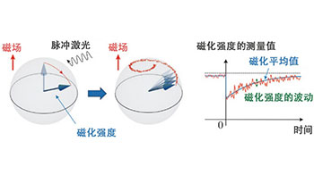 東京大學通過光技術直接觀測磁體的離散值，為開發由電子存儲資訊的量子器件開闢道路