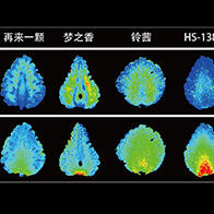 北海道大學通過定量質譜成像視覺化呈現草莓味道差異