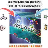 京都大學等成功驗證有機聚合物光觸媒高效轉化CO₂的技術，實現不依賴貴金屬的人工光合成系統