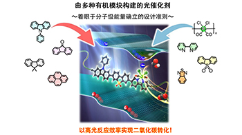 京都大學等成功驗證有機聚合物光觸媒高效轉化CO₂的技術，實現不依賴貴金屬的人工光合成系統