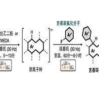 名古屋大學開發出80餘年未實現的芳香環連接反應，改寫教科書定論