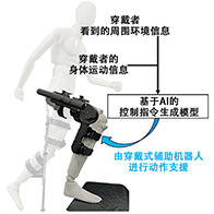 理研開發出穿戴式運動助力機器人的AI驅動控制方法，基於動作與週遭環境資訊實現人體動作支援