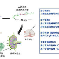 東京大學與iCONM開發出可將核酸藥物送達至前哨淋巴結的奈米機器，阻止癌症轉移