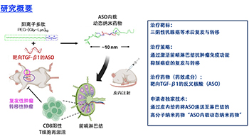東京大學與iCONM開發出可將核酸藥物送達至前哨淋巴結的奈米機器，阻止癌症轉移
