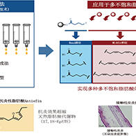 東京大學開發出Omega-3脂肪酸的快速精密合成法，發現新型抗炎性脂肪酸
