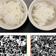 大阪公立大學發現用過熱水蒸氣蒸熟的米飯呈多孔結構，冷藏保存時可保持美味