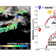 千葉大學等日韓德合作，利用氣象衛星「向日葵」的觀測數據開發出光合作用活動每30分鐘視覺化新方法