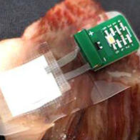 京都大學以酶為觸媒，開發出用牛肉脂肪發電的生物電池
