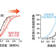 感覺缺失藥吸入有效的細胞内靶點分子被鎖定，有望推動開發更優質感覺缺失藥及給藥方法