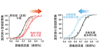 感覺缺失藥吸入有效的細胞内靶點分子被鎖定，有望推動開發更優質感覺缺失藥及給藥方法