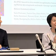 京都大學利用iPS製備免疫「教育細胞」，有望應用於癌症治療等領域