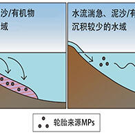 國環研、產綜研、愛媛大學聯合調查日本各地輪胎源微塑膠的污染情況：經河流匯入海洋與湖泊
