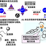 東京大學利用單壁奈米碳管，成功實現水中催化性不對稱合成