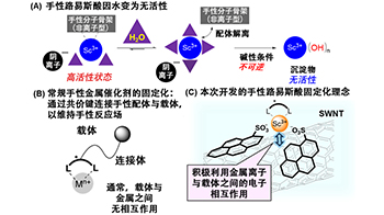 東京大學利用單壁奈米碳管，成功實現水中催化性不對稱合成