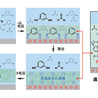 東京大學開發出超輕堅韌的「人工丝瓜络」,利用負電荷排斥反應構築立體網狀結構
