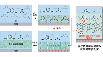 東京大學開發出超輕堅韌的「人工丝瓜络」，利用負電荷排斥反應構築立體網狀結構