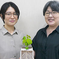 農研機構等開發出提高農田溫室氣體減排效果的「大豆-根瘤菌」共生系統，有望為抑制全球變暖作出貢獻