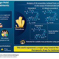 東京理科大學、琉球大學等從沖繩海綿動物中成功分離出強效抗利什曼原蟲活性化合物，有望成為利什曼病新型治療藥候選物質