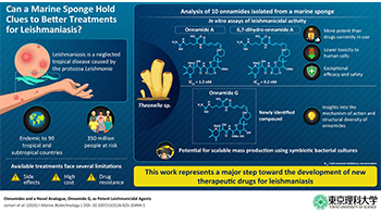 東京理科大學、琉球大學等從沖繩海綿動物中成功分離出強效抗利什曼原蟲活性化合物，有望成為利什曼病新型治療藥候選物質
