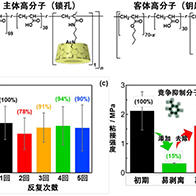 大阪大學利用中子闡明界面結構，開發出「粘著牢固但可剝離」的黏合劑