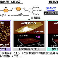 千葉大學等通過改變光的強度來自由控制奈米材料的形態
