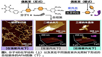 千葉大學等通過改變光的強度來自由控制奈米材料的形態