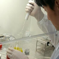 日本東北大學等從小行星砂粒中發現生命必需的糖，向揭秘生命起源邁進