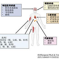 日本東北大學啟動世界首個粒線體病治療藥物「MA-5」的Ⅱ期臨床試驗