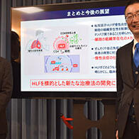 千葉大學等確定「慢性發炎關鍵蛋白質」，闡明免疫細胞的參與機制