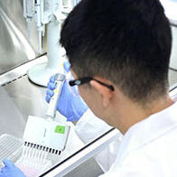 東京大學發現類固醇可增強OPDIVO等癌症免疫藥物療效