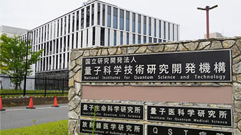 量子研：早期乳腺癌無需切除, 重離子線治療有效